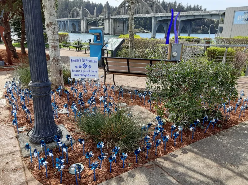 image of pinwheels on ground in Florence